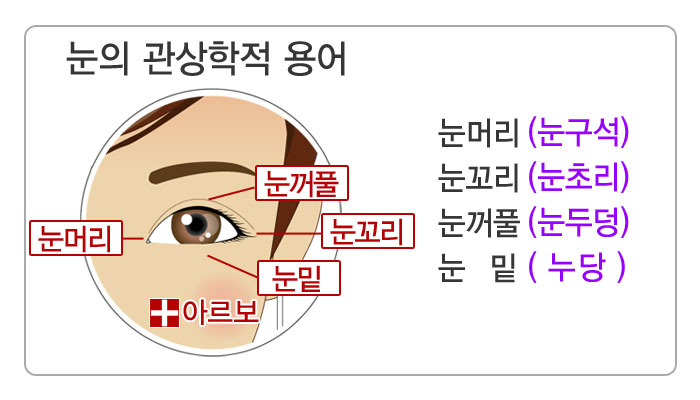 눈관상,눈관상용어,눈구석,눈초리,눈두덩,누당