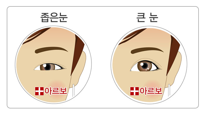 눈관상,좁은눈관상,큰눈관상,좁은눈,큰눈,위아래큰눈,세로로큰눈관상