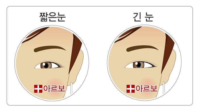 눈관상,짧은눈관상,긴눈관상,짧은눈,긴눈,가로로긴눈,옆으로긴눈